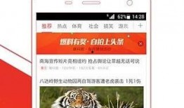 头条最新爆料官网,官网最新爆料揭秘行业内幕