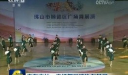 佛山都市爆料新闻视频,最新视频揭秘城市热点事件